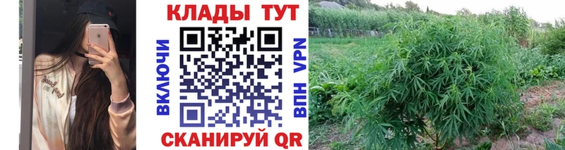 Цена Алдан ГАШИШ  КОКАИН  Псилоцибиновые грибы  Канабис  МЕФ 