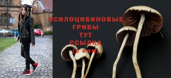 эйфоретик Абдулино