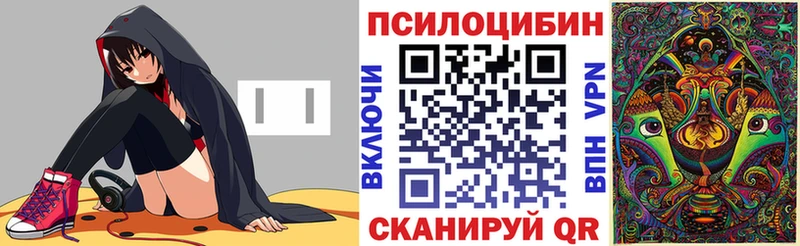 купить Алдан Псилоцибиновые грибы Magic Shrooms